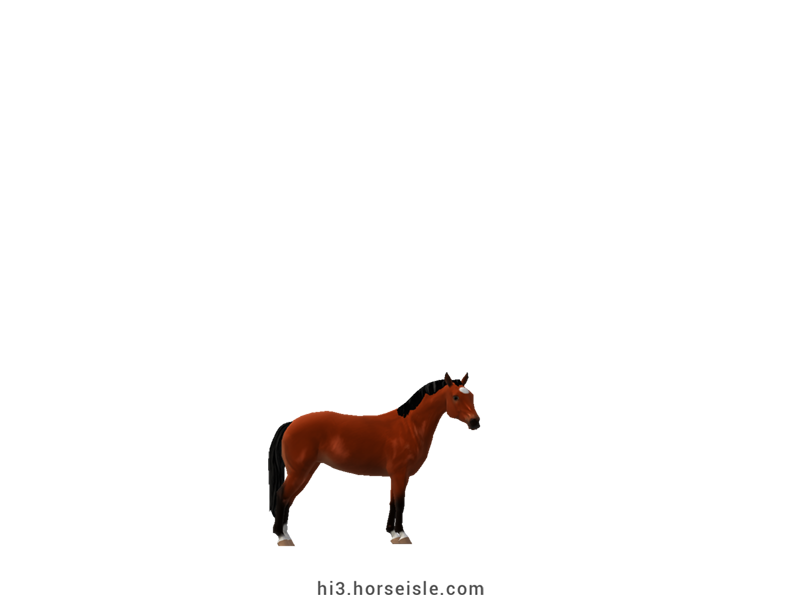 American Miniature Horse Red Bay Coat